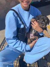 Load image into Gallery viewer, Fashion Long Sleeve Loose Pant Casual Two-piece Suit